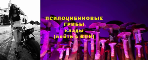 дурь Бородино