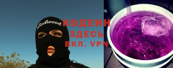 дурь Бородино