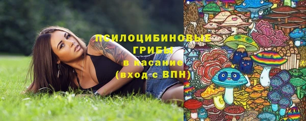 дурь Бородино
