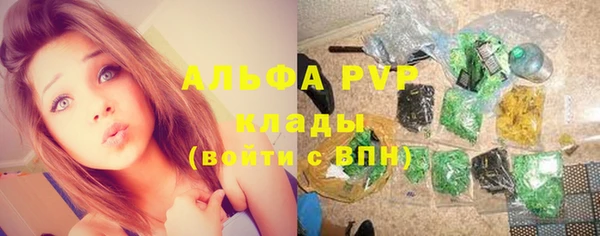 дурь Бородино