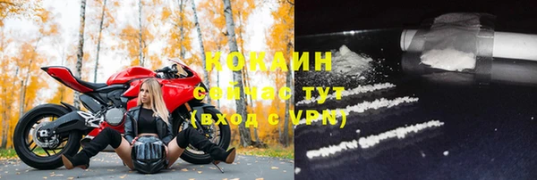 дурь Бородино