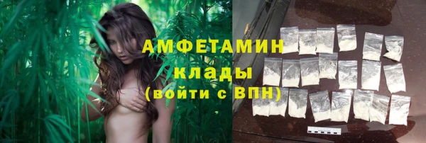 дурь Бородино