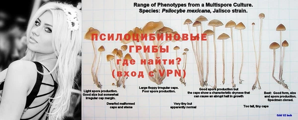 кокс Бугульма
